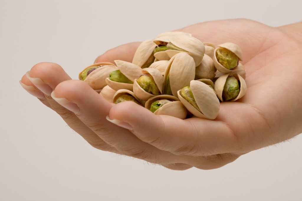 صادرات پسته به استرالیا